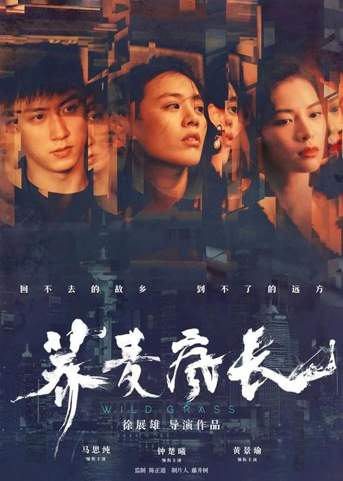 公证书封皮字体